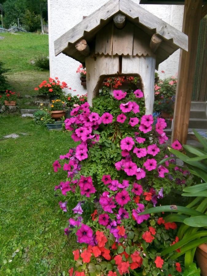 B&B Pra' Dei Cervi Telve Εξωτερικό φωτογραφία