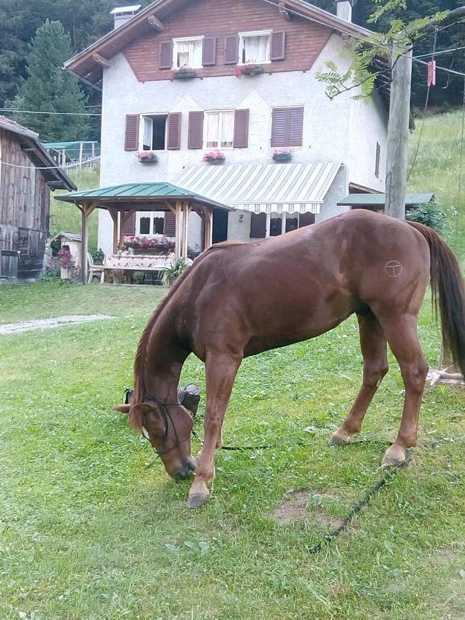 B&B Pra' Dei Cervi Telve Εξωτερικό φωτογραφία