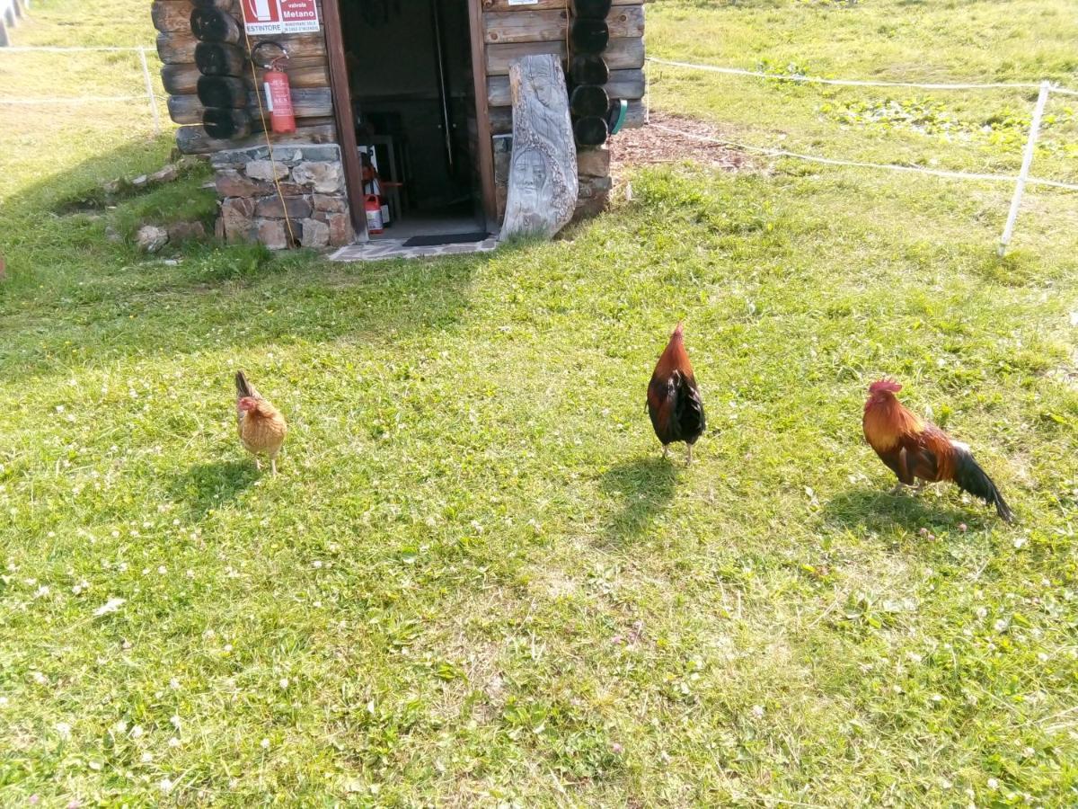 B&B Pra' Dei Cervi Telve Εξωτερικό φωτογραφία