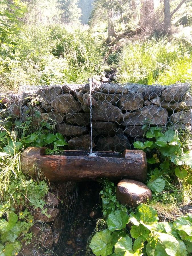 B&B Pra' Dei Cervi Telve Εξωτερικό φωτογραφία