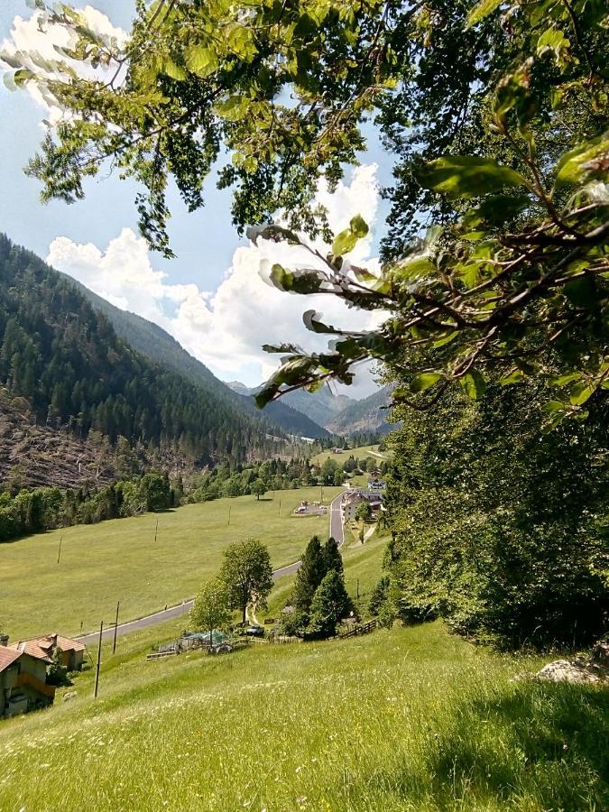 B&B Pra' Dei Cervi Telve Εξωτερικό φωτογραφία