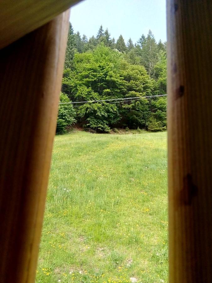 B&B Pra' Dei Cervi Telve Εξωτερικό φωτογραφία